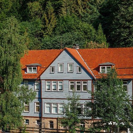 Fewo-Lerbachtal Osterode am Harz エクステリア 写真