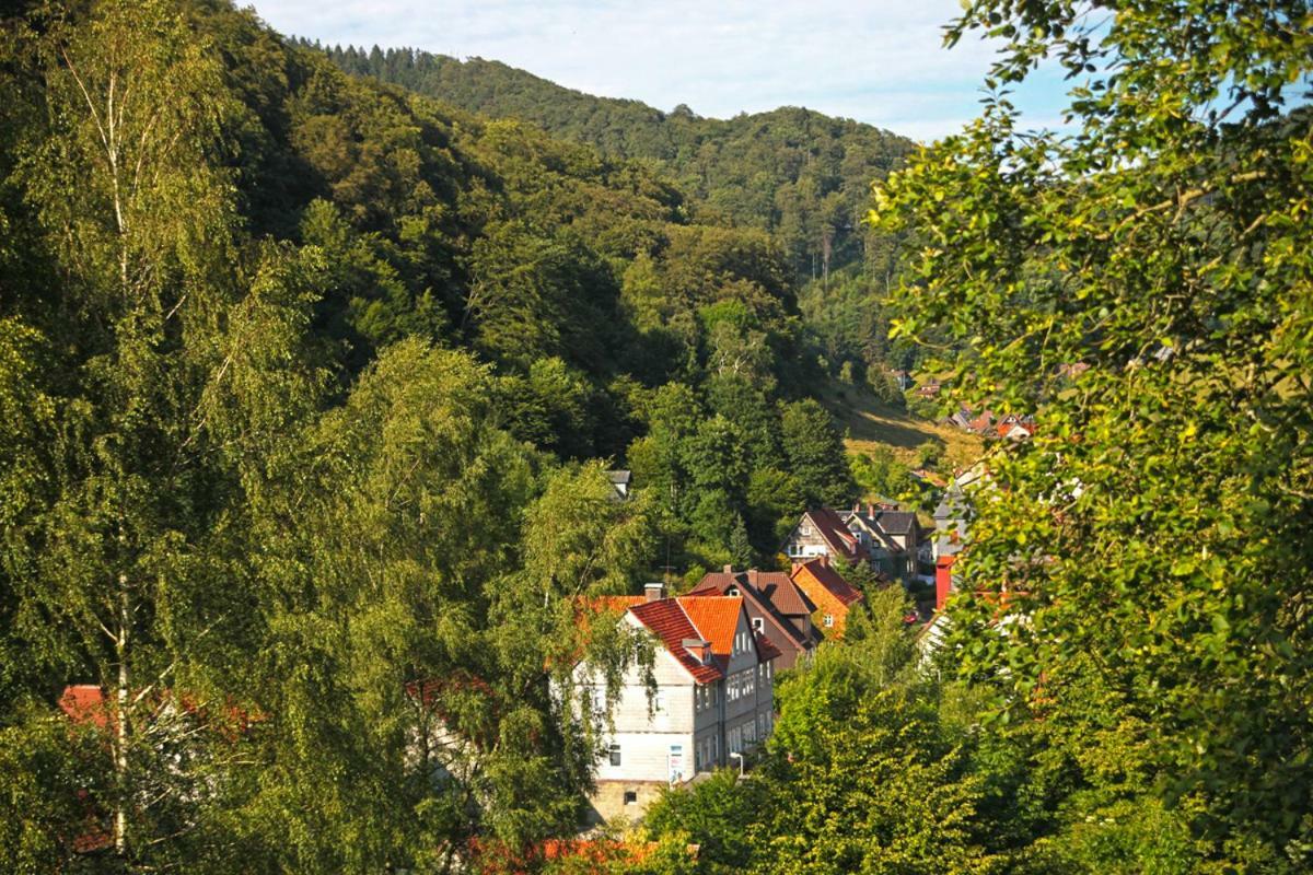 Fewo-Lerbachtal Osterode am Harz エクステリア 写真
