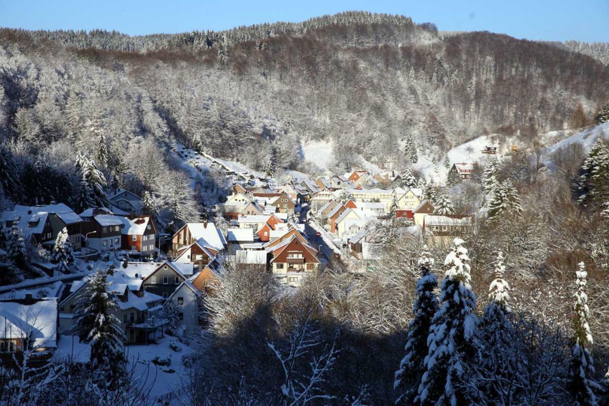 Fewo-Lerbachtal Osterode am Harz エクステリア 写真