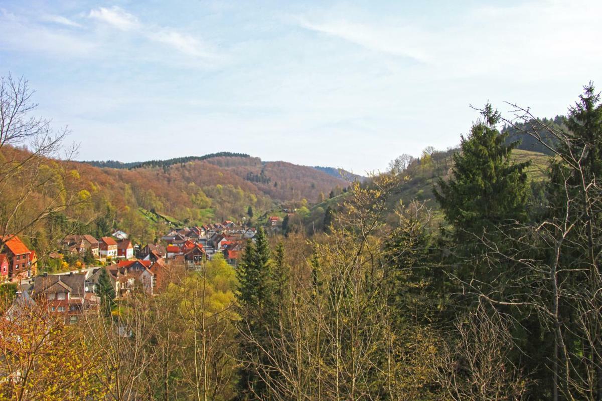 Fewo-Lerbachtal Osterode am Harz エクステリア 写真