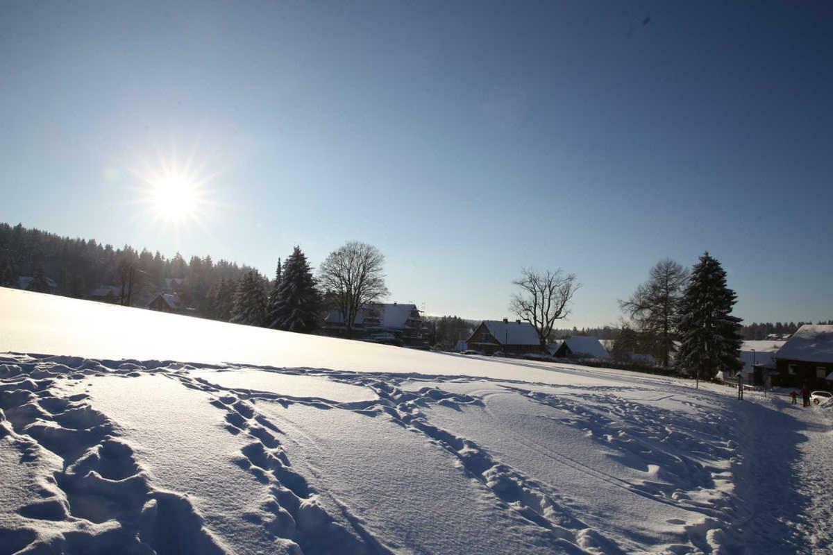 Fewo-Lerbachtal Osterode am Harz エクステリア 写真